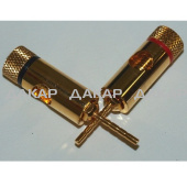 ART SOUND Accessories PTHG (Gold)