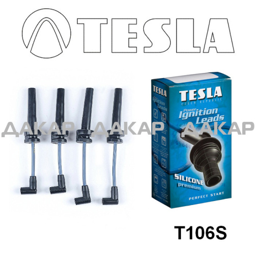 T106S