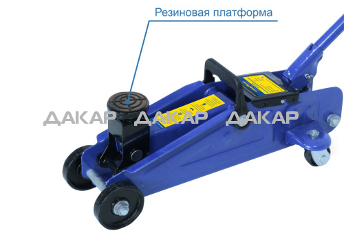 photo_6