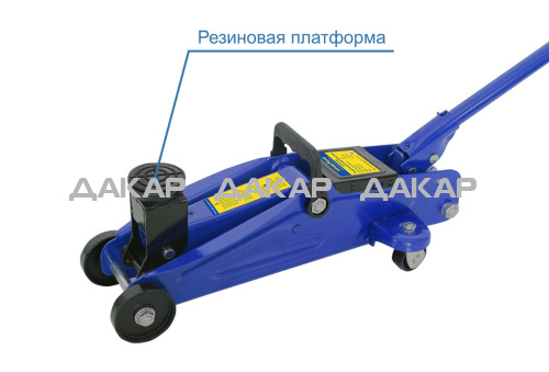 photo_7